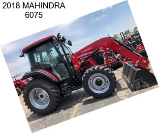 2018 MAHINDRA 6075