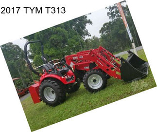 2017 TYM T313