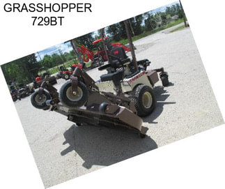 GRASSHOPPER 729BT