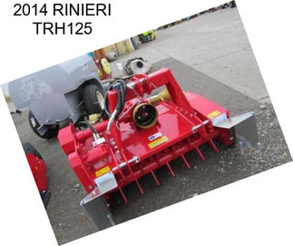 2014 RINIERI TRH125