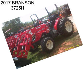 2017 BRANSON 3725H