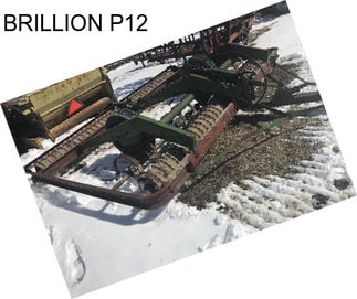 BRILLION P12