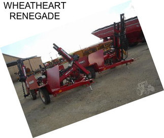 WHEATHEART RENEGADE