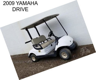 2009 YAMAHA DRIVE