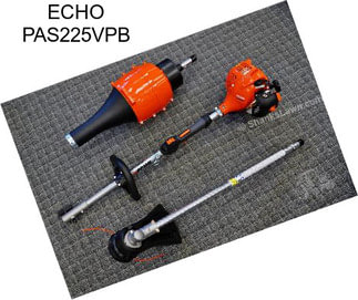 ECHO PAS225VPB