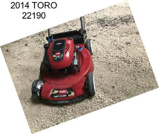 2014 TORO 22190