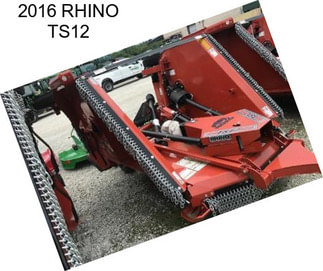 2016 RHINO TS12