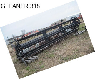 GLEANER 318