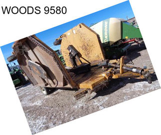 WOODS 9580