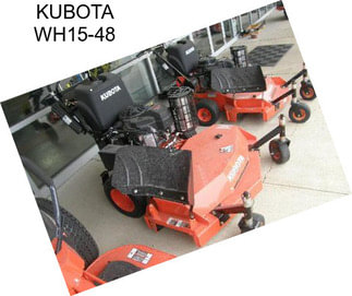 KUBOTA WH15-48