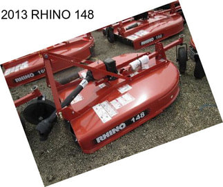 2013 RHINO 148