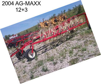 2004 AG-MAXX 12+3