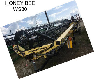 HONEY BEE WS30