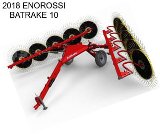 2018 ENOROSSI BATRAKE 10