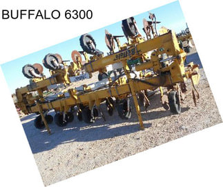 BUFFALO 6300