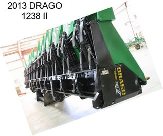 2013 DRAGO 1238 II