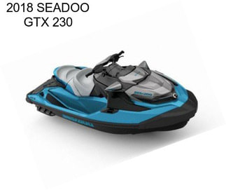 2018 SEADOO GTX 230