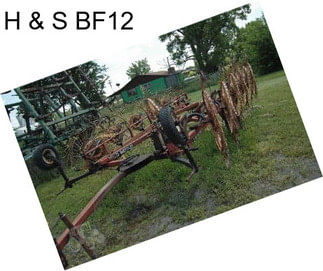 H & S BF12