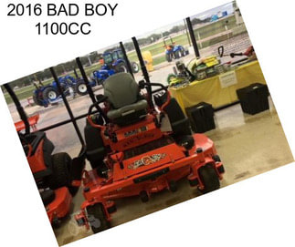 2016 BAD BOY 1100CC