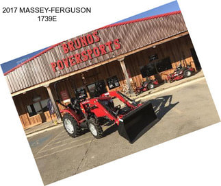 2017 MASSEY-FERGUSON 1739E