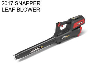 2017 SNAPPER LEAF BLOWER