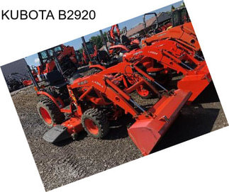 KUBOTA B2920