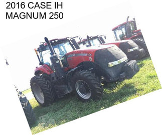 2016 CASE IH MAGNUM 250