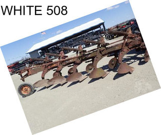 WHITE 508