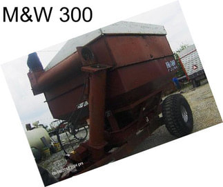 M&W 300