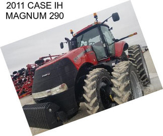 2011 CASE IH MAGNUM 290