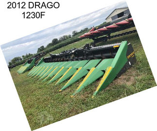 2012 DRAGO 1230F