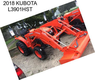 2018 KUBOTA L3901HST