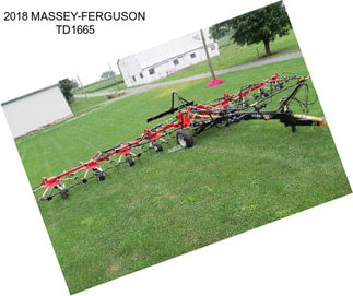 2018 MASSEY-FERGUSON TD1665