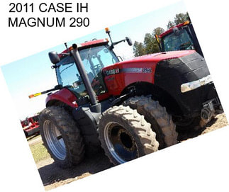 2011 CASE IH MAGNUM 290