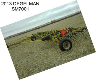 2013 DEGELMAN SM7001