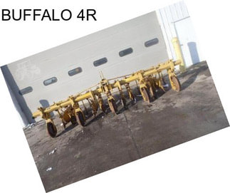 BUFFALO 4R