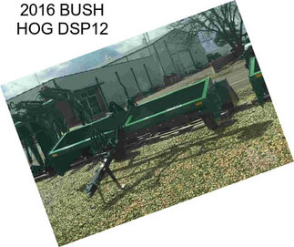 2016 BUSH HOG DSP12