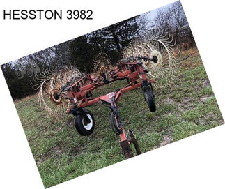 HESSTON 3982