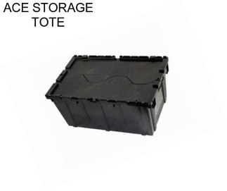 ACE STORAGE TOTE