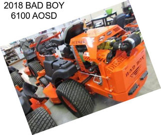 2018 BAD BOY 6100 AOSD