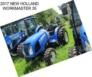 2017 NEW HOLLAND WORKMASTER 35