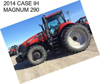 2014 CASE IH MAGNUM 290