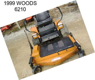 1999 WOODS 6210