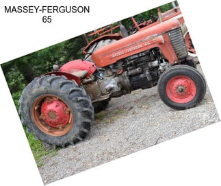 MASSEY-FERGUSON 65