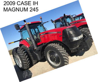 2009 CASE IH MAGNUM 245