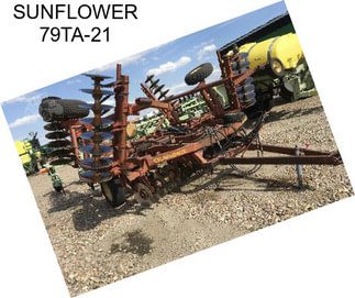 SUNFLOWER 79TA-21