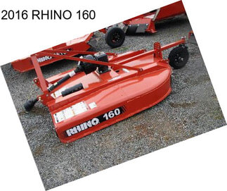 2016 RHINO 160