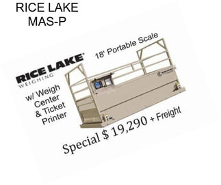 RICE LAKE MAS-P