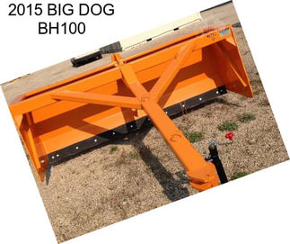 2015 BIG DOG BH100