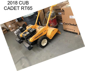 2018 CUB CADET RT65
